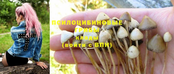 прущая мука Аркадак